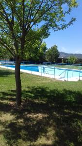 a tree in the grass next to a swimming pool at LAS GLORIAS in Torre de Santa María