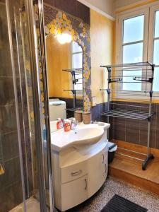 uma casa de banho com um lavatório e um chuveiro em Zassiettes et titin em Dijon