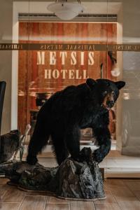 Domácí mazlíčci ubytovaní s hosty v ubytování Hotel Metsis