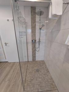 a shower with a glass door in a bathroom at Ferienwohnung Helenenquelle in Bad Wildungen