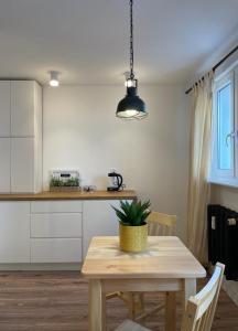 a kitchen with a table with a potted plant on it at Niron Apartament Ludowa in Piła +8 photos