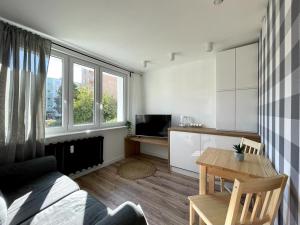 a living room with a couch and a table at Niron Apartament Ludowa in Piła