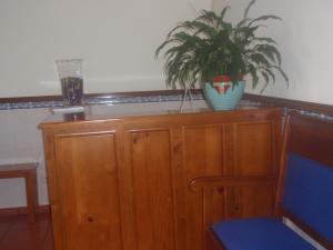 une plante en pot sur une armoire en bois dans l'établissement Residencial Idalio, à Odemira