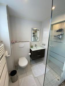 a bathroom with a toilet and a sink and a shower at Ferienwohnung Familie Seuferle in Schweigen-Rechtenbach +14 photos