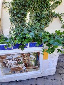 Giardino di Golden Lion