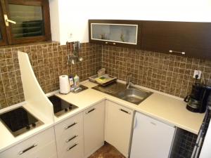 Kuchyňa alebo kuchynka v ubytovaní Apartment in Pisak with sea view, loggia, air conditioning, WiFi 153-28