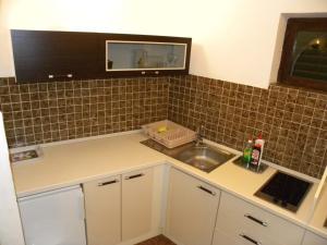 Kuchyňa alebo kuchynka v ubytovaní Apartment in Pisak with sea view, loggia, air conditioning, WiFi 153-28