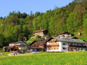 a group of houses on a hill with a field at Triembachhof in Schönau am Königssee