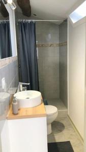 La salle de bains est pourvue d'un lavabo, de toilettes et d'une douche. dans l'établissement STUDIO LE NID, à Valence