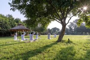 Zahrada ubytování Aahana Resort - Jim Corbett