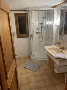 uma casa de banho com um chuveiro e um lavatório. em Haus Mangard em Sankt Gallenkirch