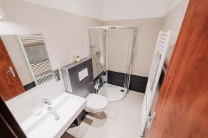 uma casa de banho com um chuveiro, um lavatório e um WC. em Elegant studio, 400m from the square em Plzeň