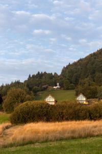 un campo de hierba con casas en una colina en Osada Mosorny Groń - Zawoja, en Zawoja