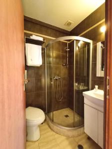 a bathroom with a shower and a toilet and a sink at Avalon Rooms in Oradea