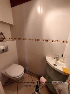 een kleine badkamer met toilet en wastafel bij La Grange de La Coste in Saint-Barthélemy-le-Meil