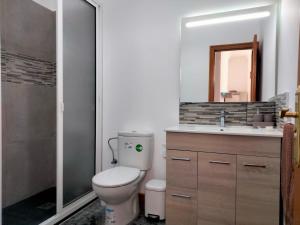 łazienka z toaletą, umywalką i lustrem w obiekcie APARTAMENTOS La PEÑA C w mieście La Guancha