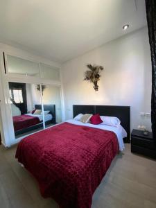 a bedroom with a large bed and a large mirror at Furnished apartments Family only in Tangier