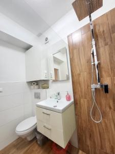 Bilik mandi di Veľký apartmán 3