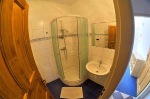 ein Bad mit einer Dusche, einem WC und einem Waschbecken in der Unterkunft Penzion Novopacké Sklepy in Nová Paka