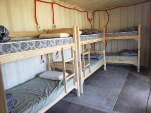 a group of bunk beds in a room at Serendipia Hostel Punta Rubia in La Pedrera