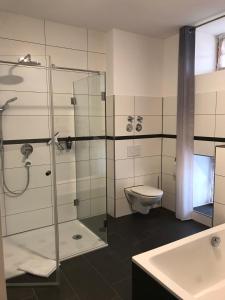 La salle de bains est pourvue d'une douche, de toilettes et d'un lavabo. dans l'établissement Pferdehof Dietzsch,Tittmoning, à Tittmoning