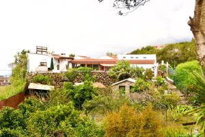 Vonkajšia záhrada v ubytovaní La Vega Rural de Garachico, near Santa Cruz de Tenerife