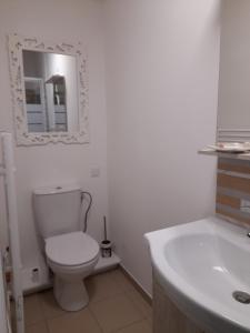 een badkamer met een toilet, een wastafel en een spiegel bij La Pépite de l'océan in Saint-Nazaire