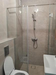 a bathroom with a shower with a toilet and a sink at Divčibare Jezero apartman 25 in Divčibare