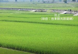 Gambar di galeri bagi 童趣漫旅溜滑梯民宿 加賴詢問sunvivian0516 包棟需訂金否則消訂單 di Taitung City