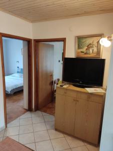 TV a/nebo společenská místnost v ubytování Apartments Samec