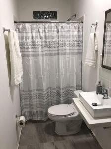 ein Badezimmer mit einem Duschvorhang, einem WC und einem Waschbecken in der Unterkunft Garden Suites Comalcalco in Comalcalco