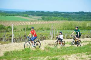 Fotografia z galérie ubytovania Aminess Sirena - Holiday homes Classic v Novigrad Istria
