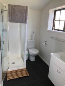 a white bathroom with a shower and a toilet at Fache Cottage in Clyde