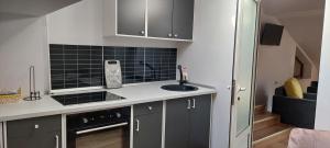 a kitchen with a sink and a counter top at Central Palace Iași Apart in Iaşi