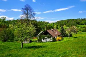 a small house in a field of green grass at Chalupa U Mohelky in Bílá