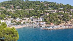 an aerial view of a beach with boats in the water at Apartment Sabin - Llafranc in Llafranc