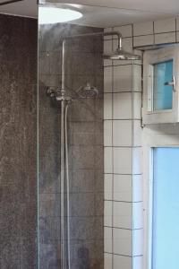 a shower with a glass door in a bathroom at Kačara Vodeničko brdo in Pranjani +47 photos