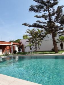 uma grande piscina com um pinheiro ao lado de uma casa em Hotel Costa Andina em Moche