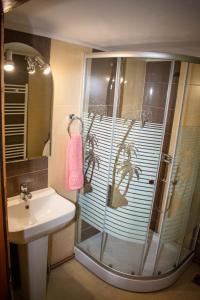 a bathroom with a shower and a sink at Cabana Liliana in Arieşeni