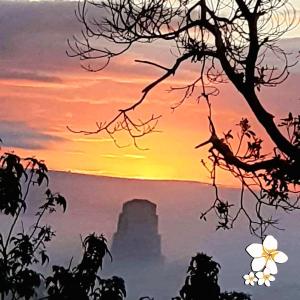 un dipinto di un tramonto con un albero di AMiNA Inn a Flores