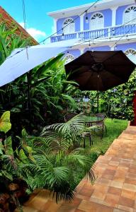 une terrasse avec des bancs et un parasol en face d'une maison dans l'établissement AMiNA Inn, à Flores
