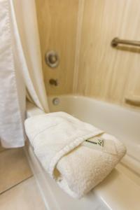 a towel is hanging on the edge of a bath tub at Holiday Inn Canmore, an IHG Hotel in Canmore