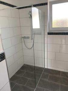 a shower with a glass door in a bathroom at Auf dem Rheinsteig in Lierschied