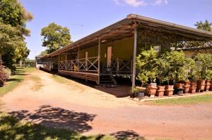 a house with a porch with potted plants on it at Affordable Gold City Motel in Charters Towers