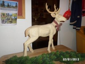 Altri animali domestici presso l'hotel o nei dintorni