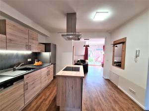 a kitchen with wooden cabinets and a counter top at Ferienwohnungen Burgfried in Wernigerode