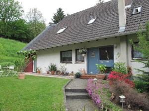 a house with a blue door and some flowers at Haus Wolter in Gengenbach