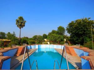 a swimming pool with blue water and a palm tree at Bhanwar Vilas Palace in Karauli