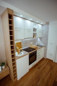 Köök või kööginurk majutusasutuses Apartman Vesna