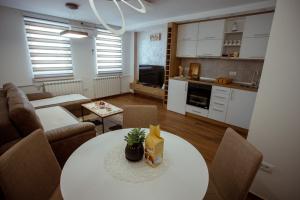 Köök või kööginurk majutusasutuses Apartman Vesna